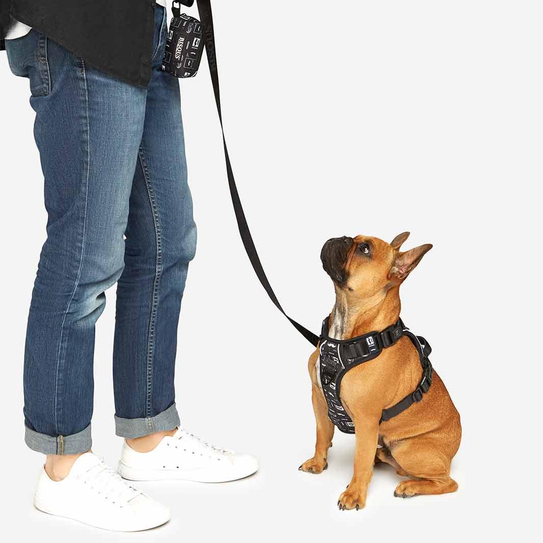 Dog Poop Bag Holder | Monsieur - Bisous | Pour Chien