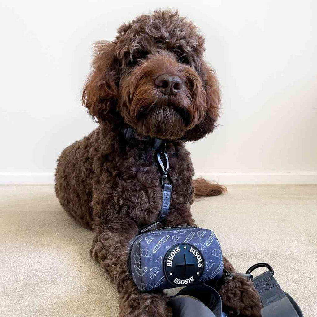 Dog Poop Bag Holder | Petit Déj - Bisous | Pour Chien
