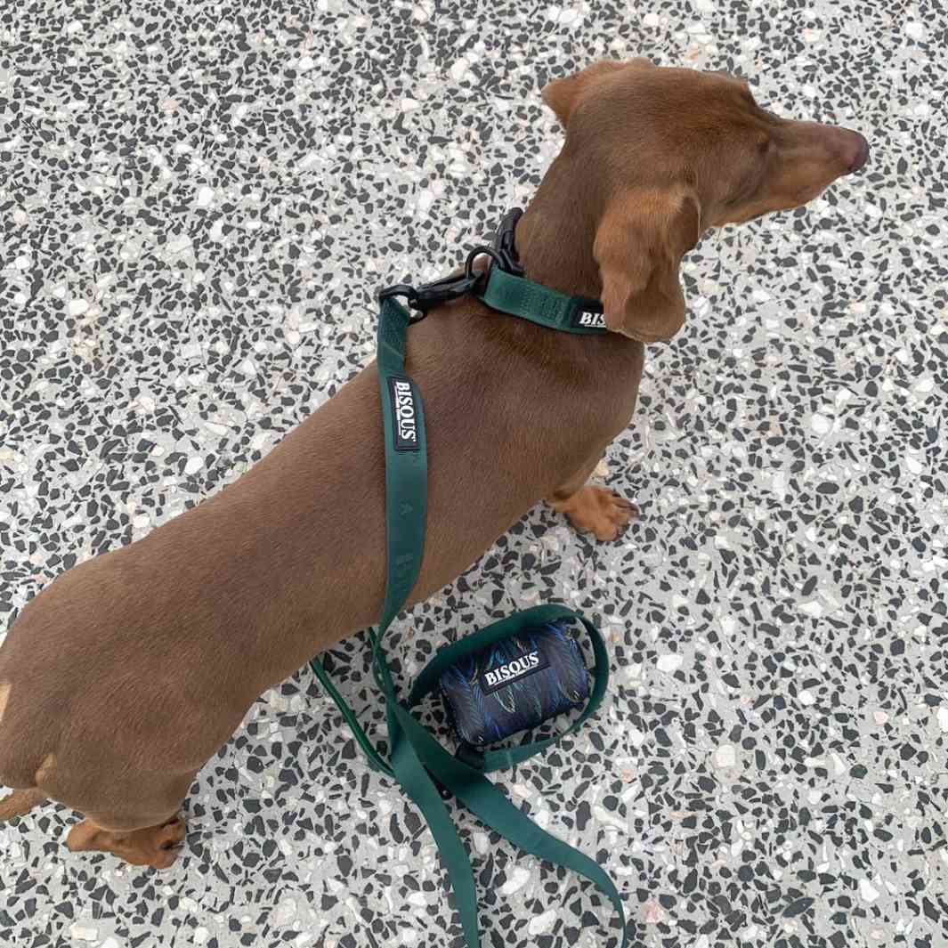 Dog Poop Bag Holder | Plume Green - Bisous | Pour Chien