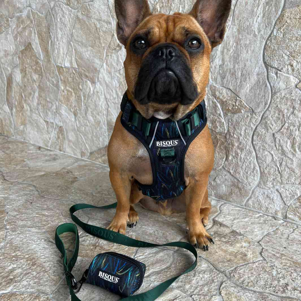 Dog Poop Bag Holder | Plume Green - Bisous | Pour Chien