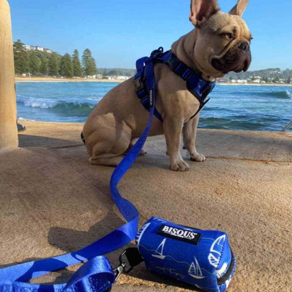 Dog Poop Bag Holder | Saint Tropez - Bisous | Pour Chien