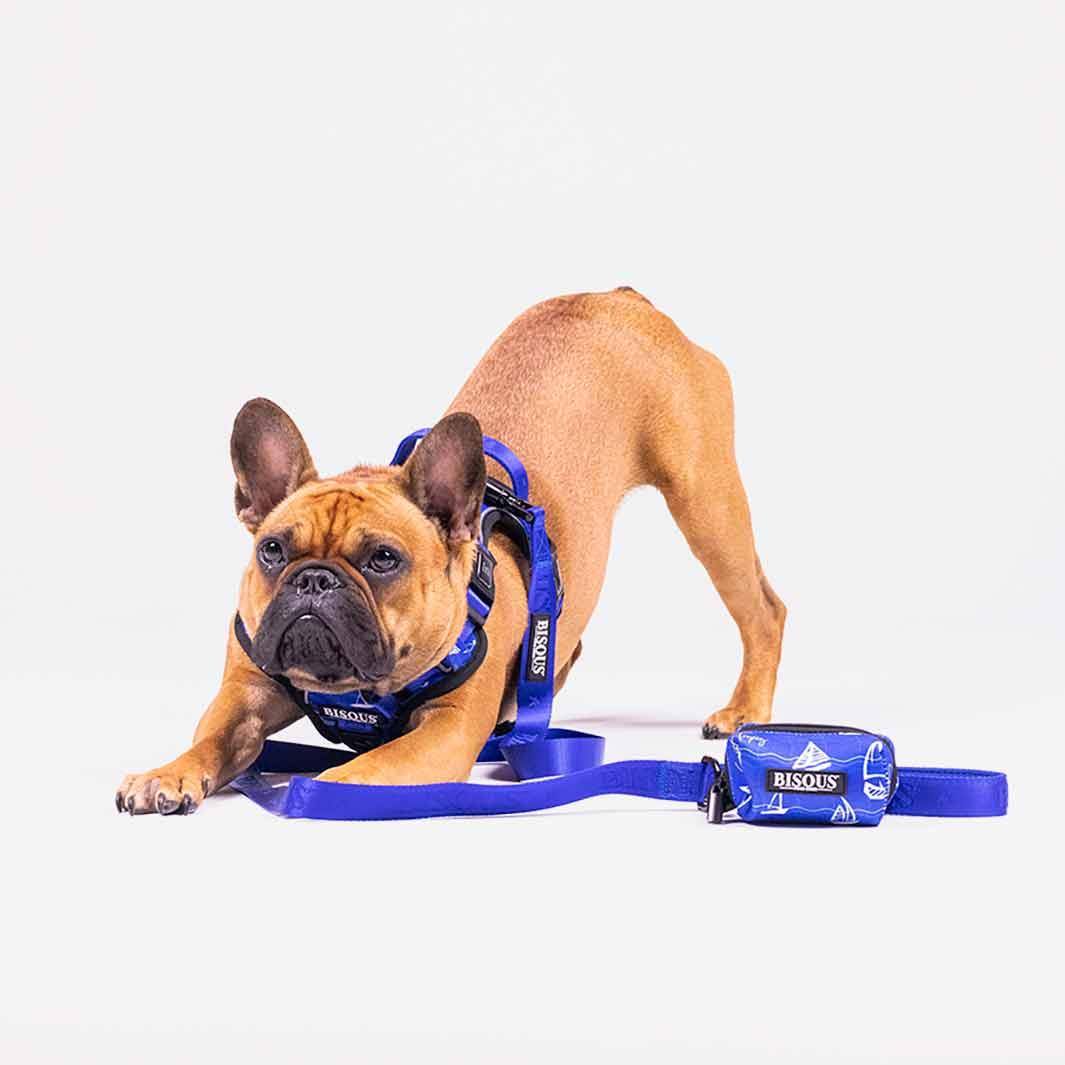 Dog Poop Bag Holder | Saint Tropez - Bisous | Pour Chien