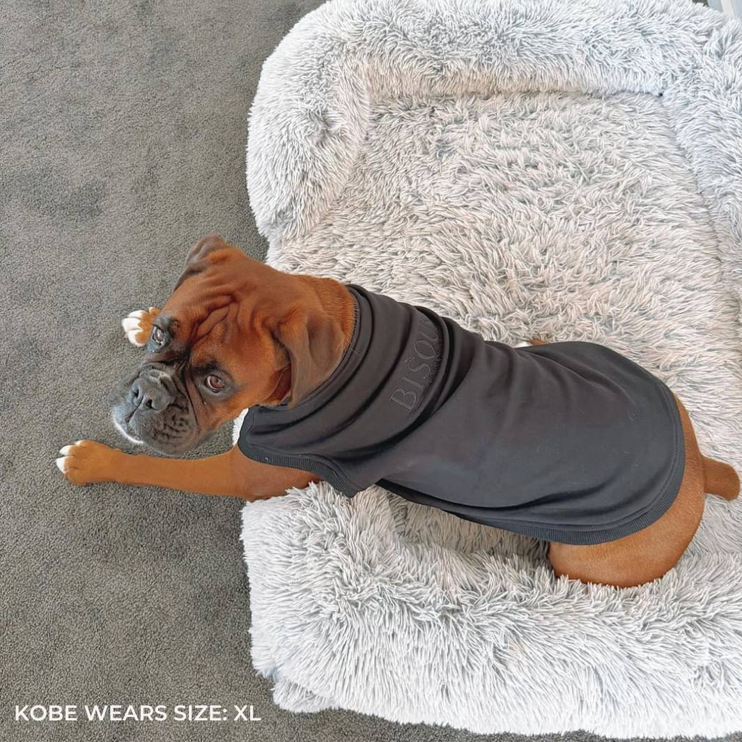 ESSENTIAL DOG SWEATSHIRT | BLACK - Bisous Pets