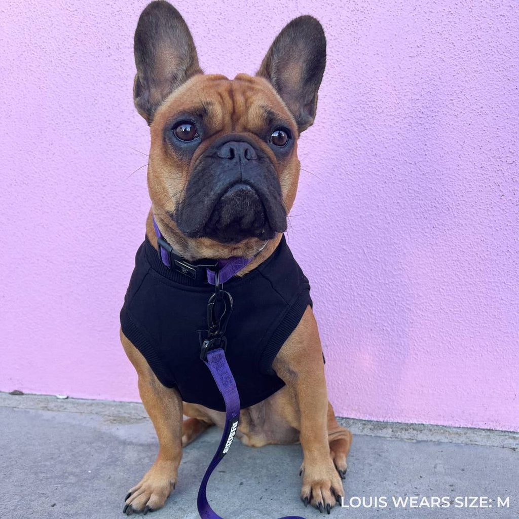 ESSENTIAL DOG SWEATSHIRT | BLACK - Bisous Pets
