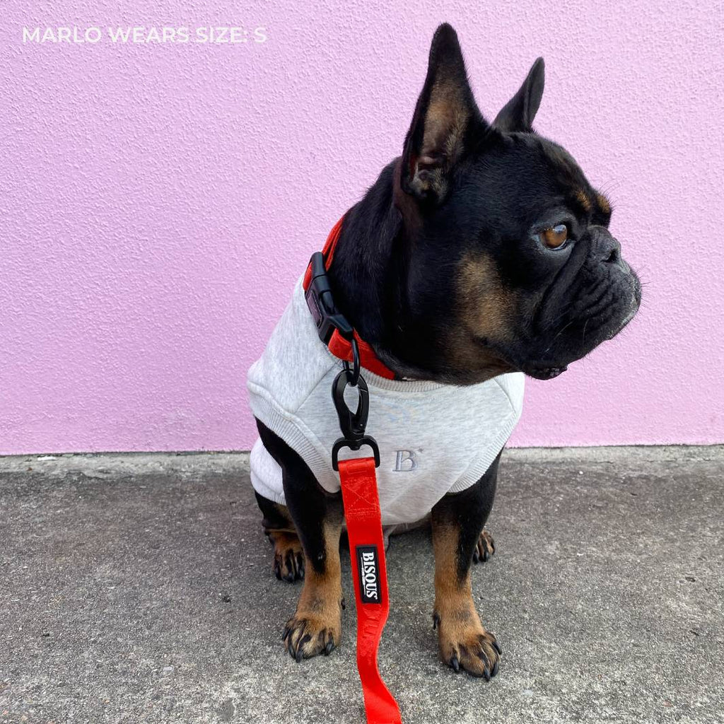 ESSENTIAL DOG SWEATSHIRT | WHITE MARLE - Bisous Pets