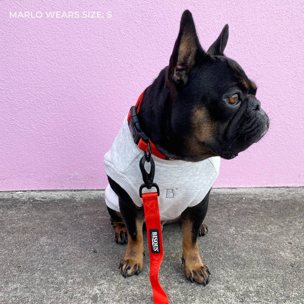 ESSENTIAL DOG SWEATSHIRT | WHITE MARLE - Bisous Pets