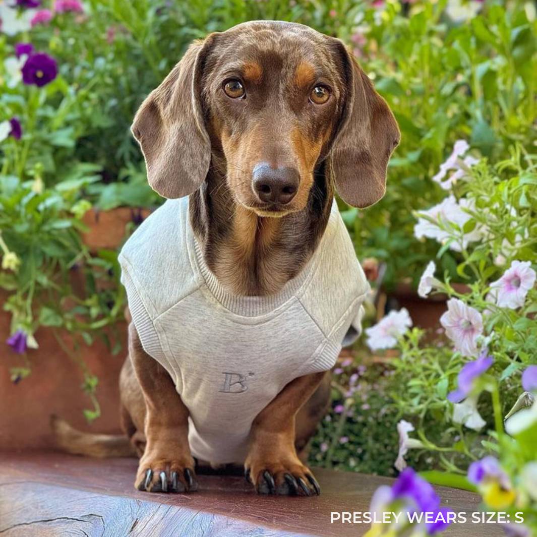 ESSENTIAL DOG SWEATSHIRT | WHITE MARLE - Bisous Pets