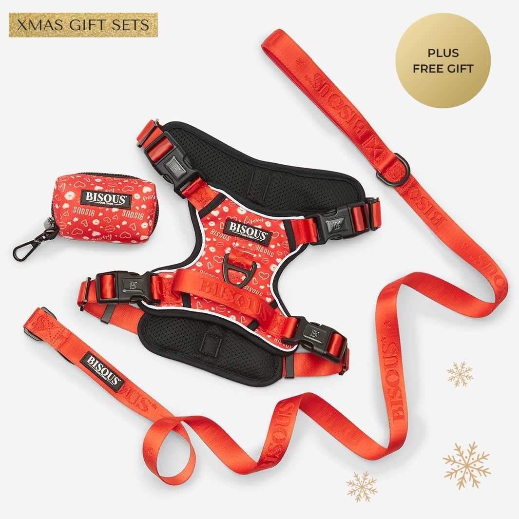 Harness Set | Bisous - Bisous | Pour Chien