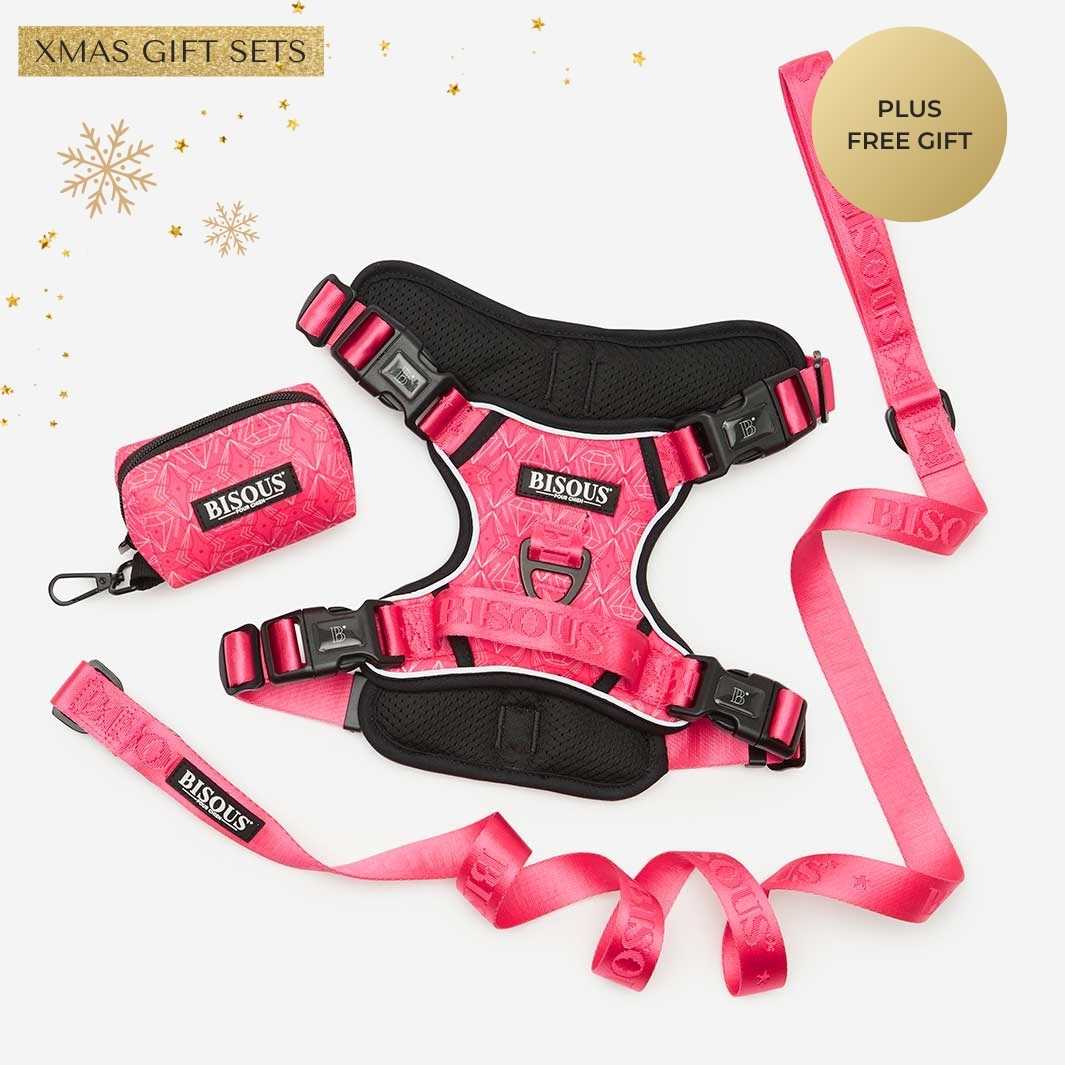 Harness Set | Madame - Bisous | Pour Chien