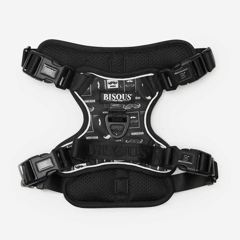 Harness Set | Monsieur - Bisous | Pour Chien