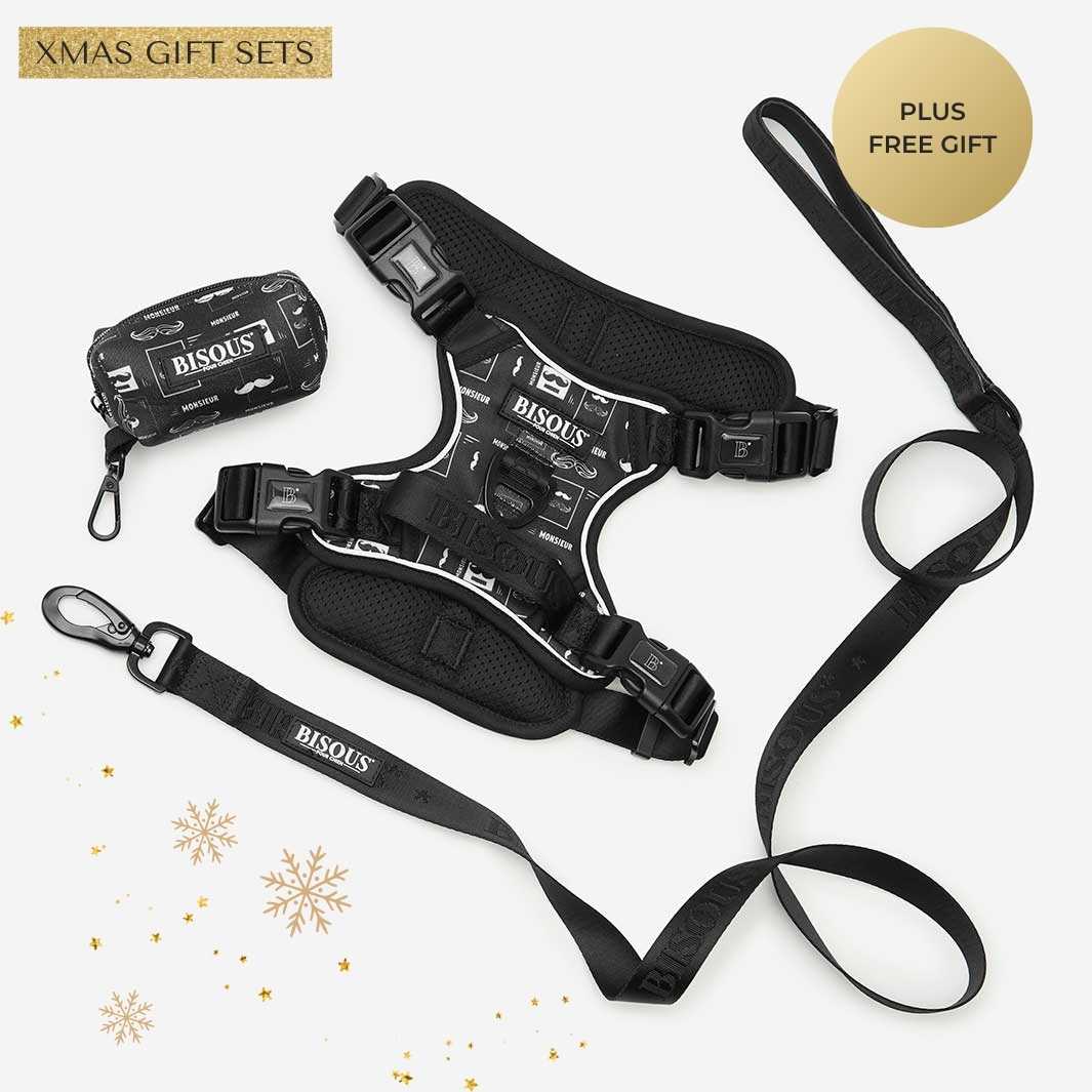 Harness Set | Monsieur - Bisous | Pour Chien