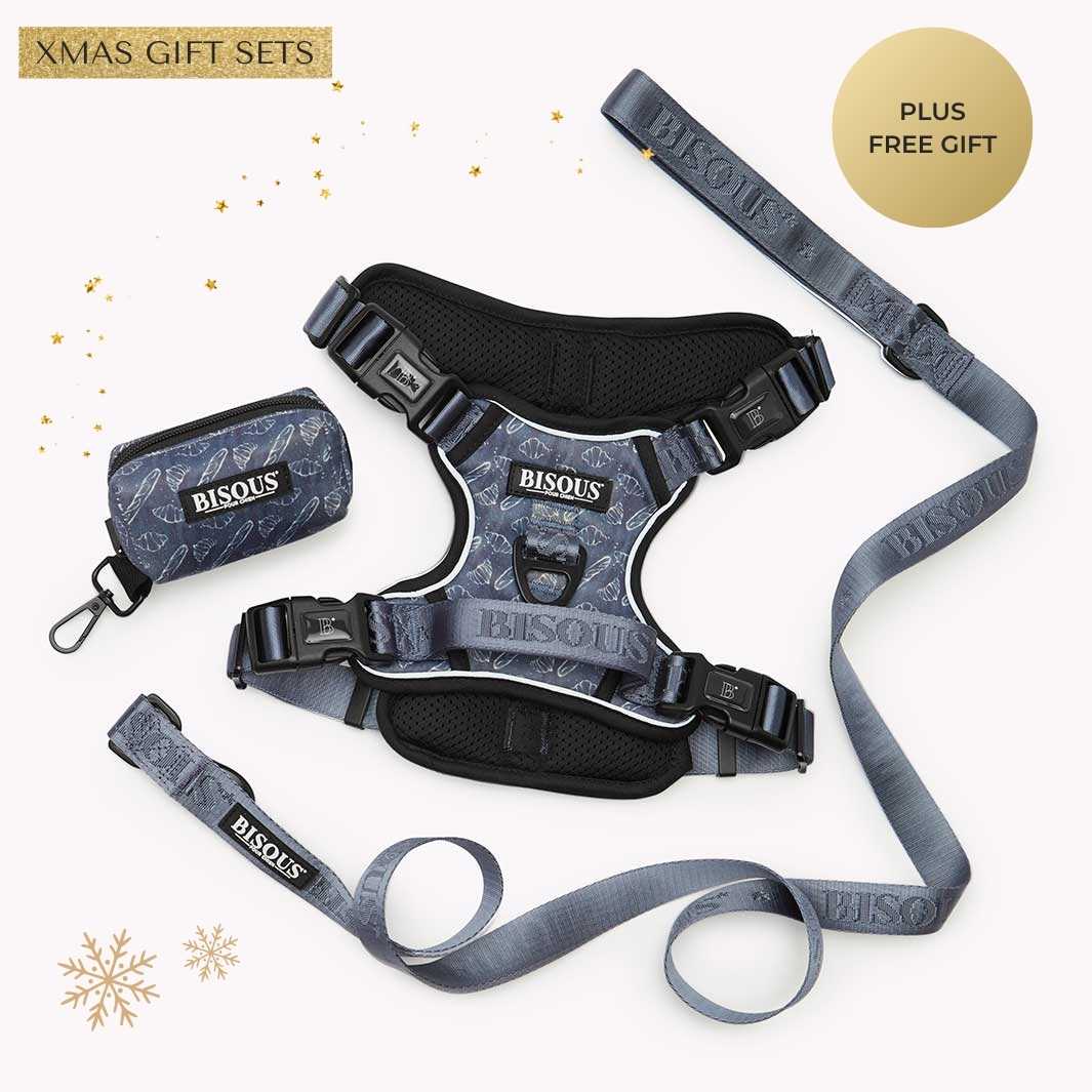 Harness Set | Petit Déj - Bisous | Pour Chien