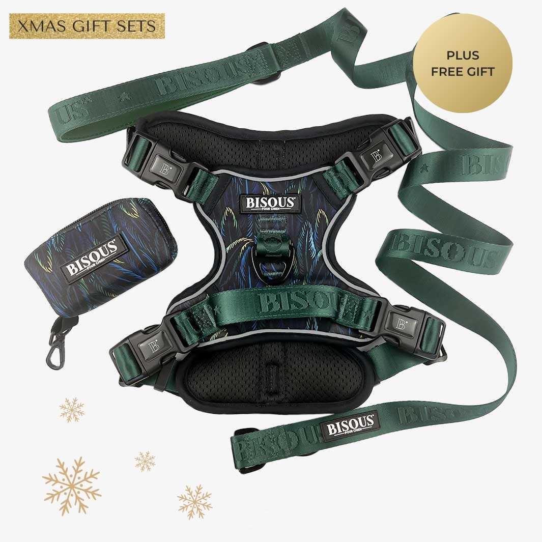 Harness Set | Plume Green - Bisous | Pour Chien