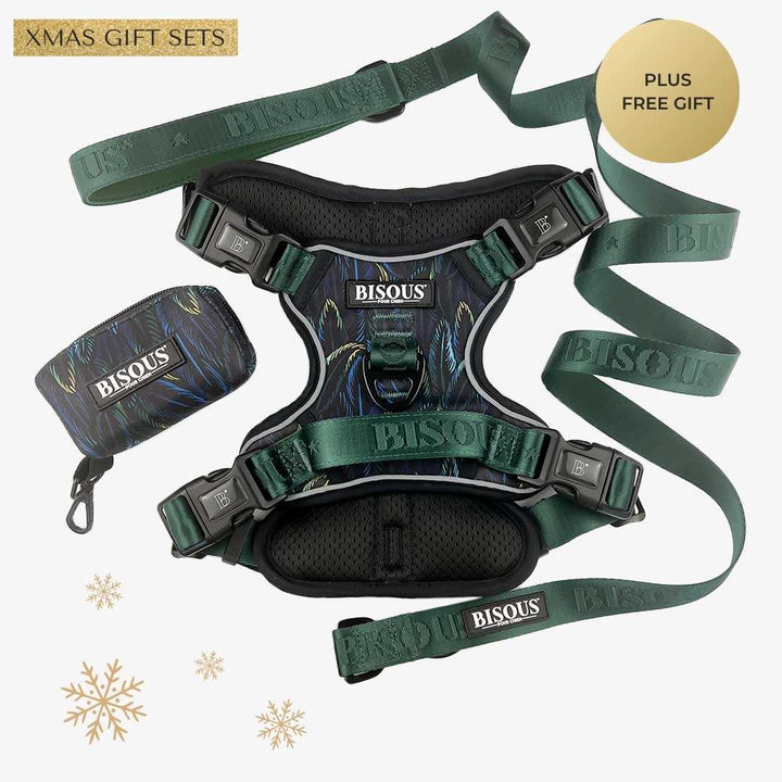 Harness Set | Plume Green - Bisous | Pour Chien