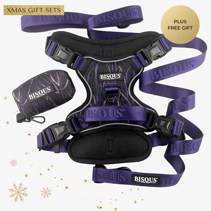 Harness Set | Plume Purple - Bisous | Pour Chien