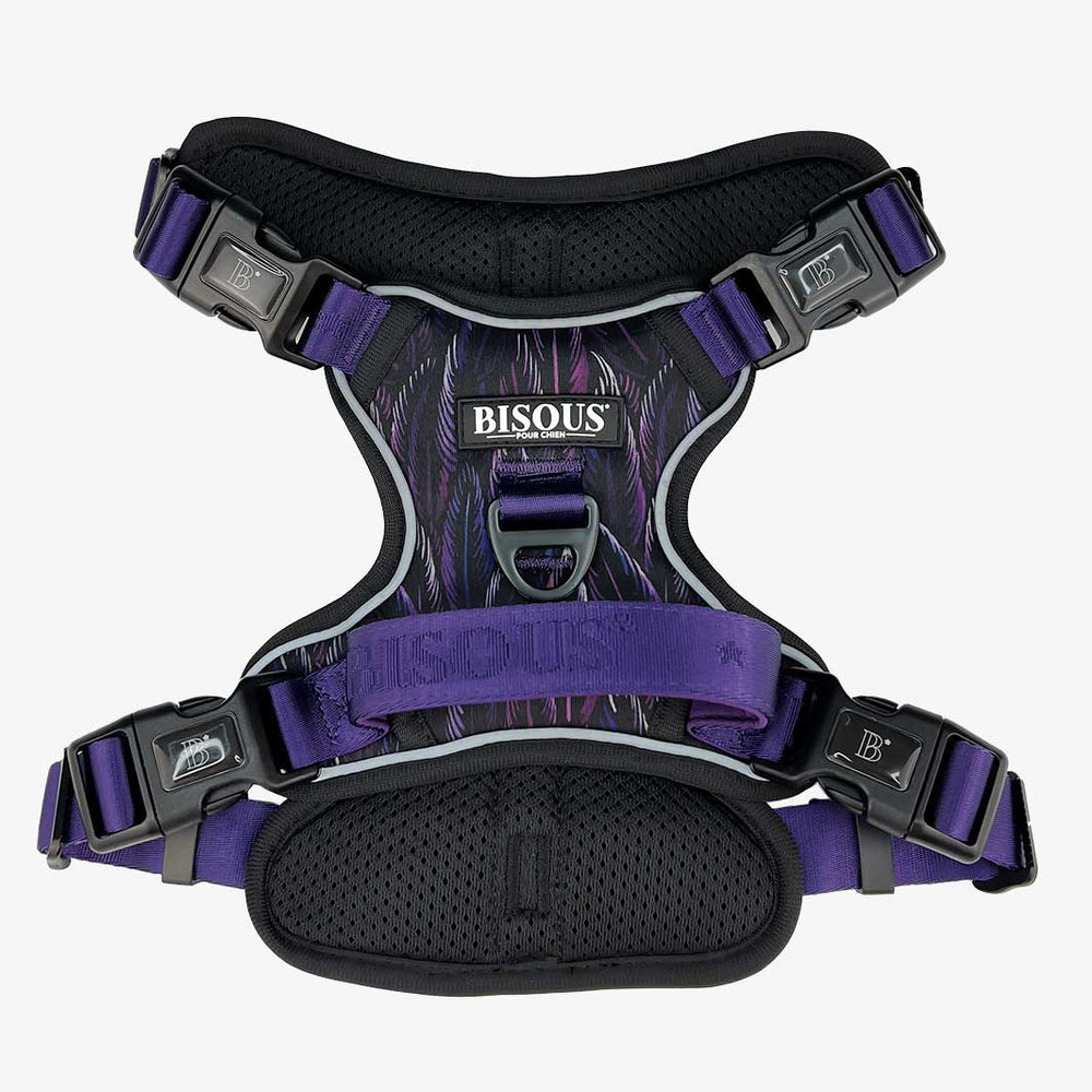 Harness Set | Plume Purple - Bisous | Pour Chien