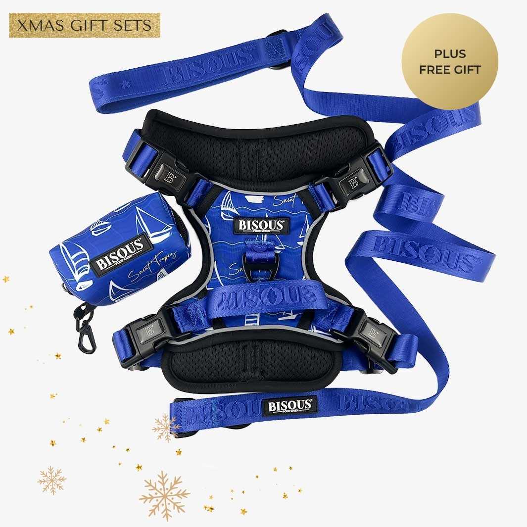 Harness Set | Saint Tropez - Bisous | Pour Chien