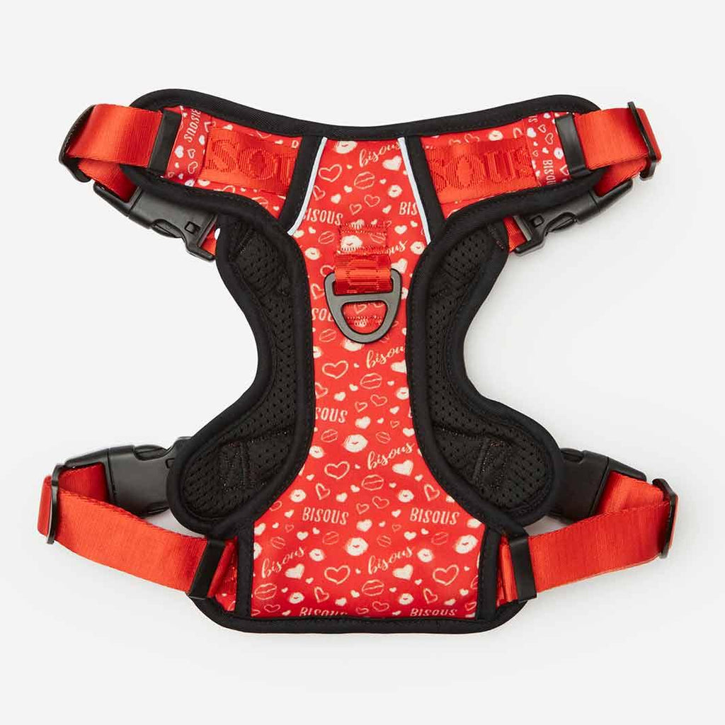 Lifestyle Dog Harness | Bisous - Bisous | Pour Chien