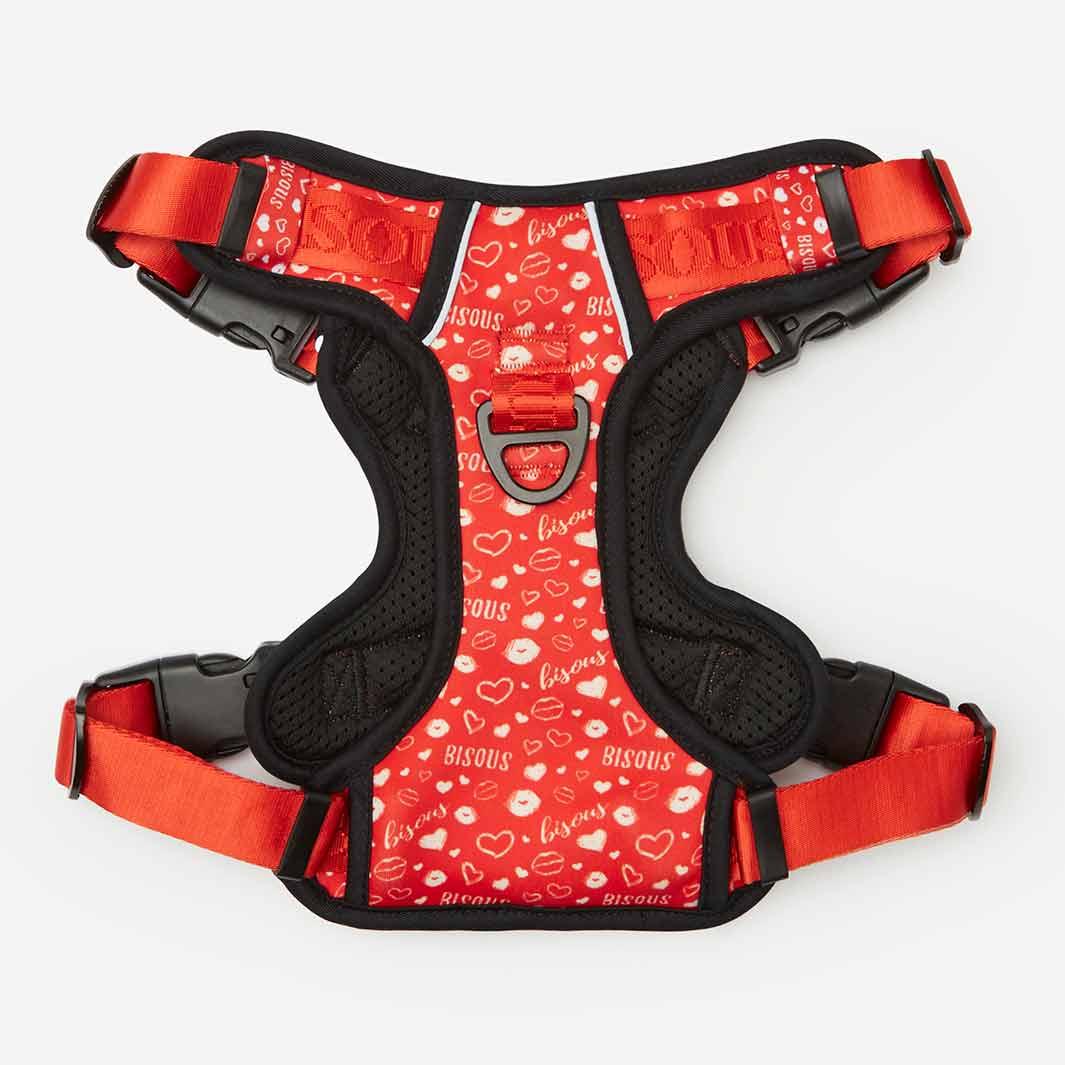 Lifestyle Dog Harness | Bisous - Bisous | Pour Chien