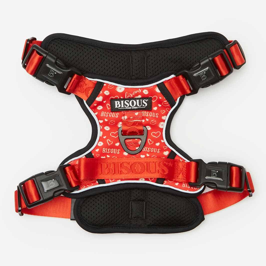 Lifestyle Dog Harness | Bisous - Bisous | Pour Chien