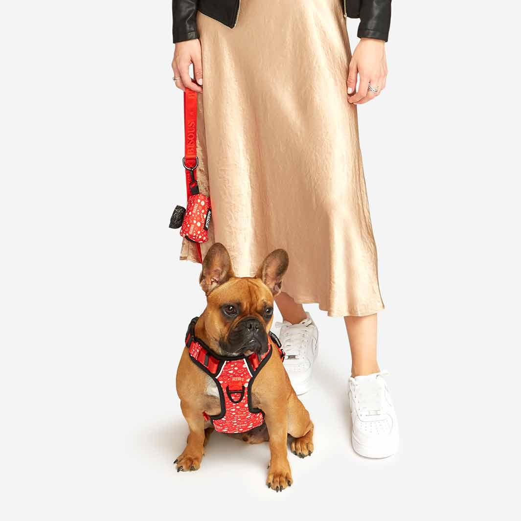 Lifestyle Dog Harness | Bisous - Bisous | Pour Chien