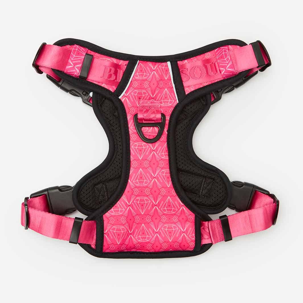 Lifestyle Dog Harness | Madame - Bisous | Pour Chien