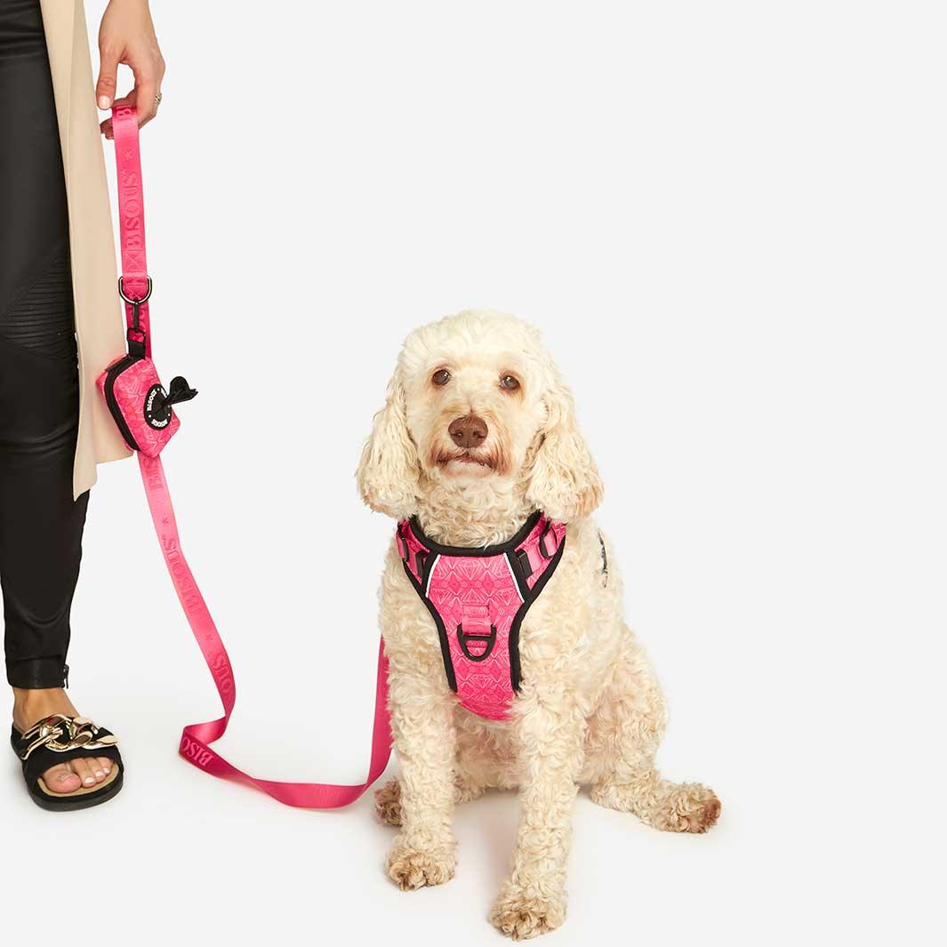 Lifestyle Dog Harness | Madame - Bisous | Pour Chien