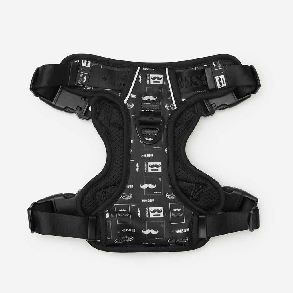 Lifestyle Dog Harness | Monsieur - Bisous | Pour Chien