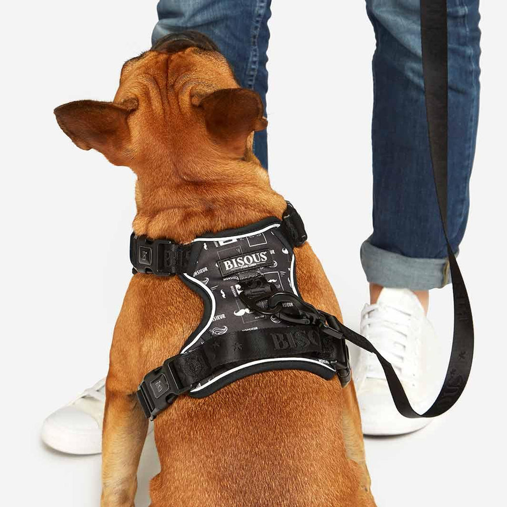 Lifestyle Dog Harness | Monsieur - Bisous | Pour Chien
