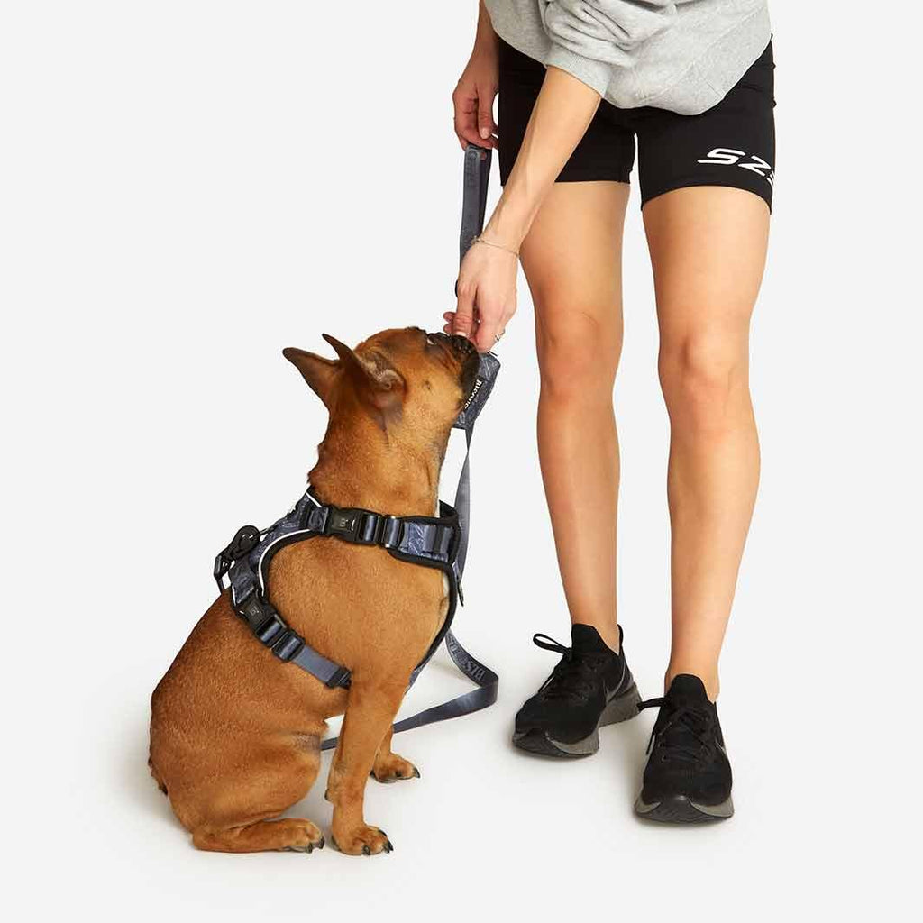 Lifestyle Dog Harness | Petit Déj - Bisous | Pour Chien