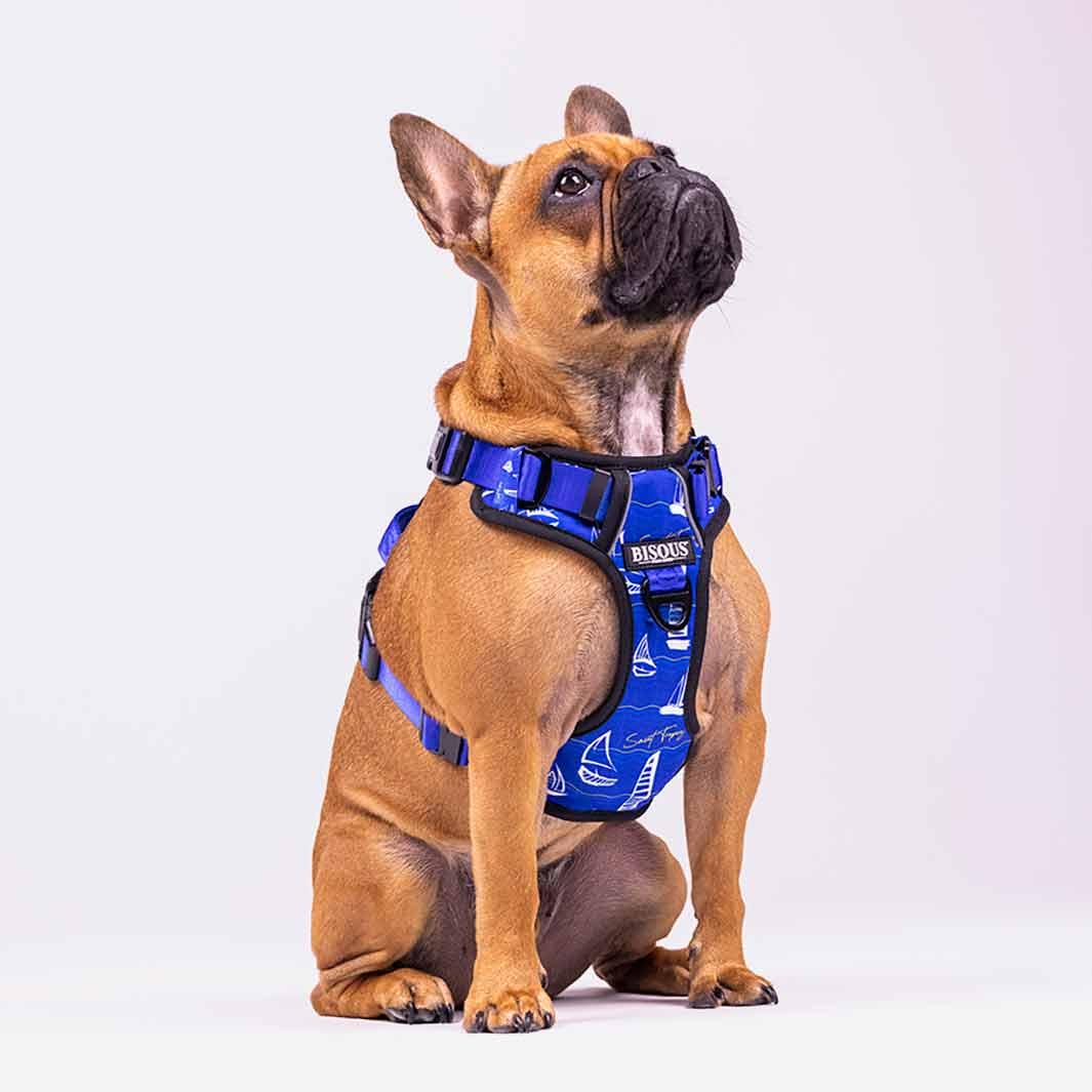 Lifestyle Dog Harness | Saint Tropez - Bisous | Pour Chien