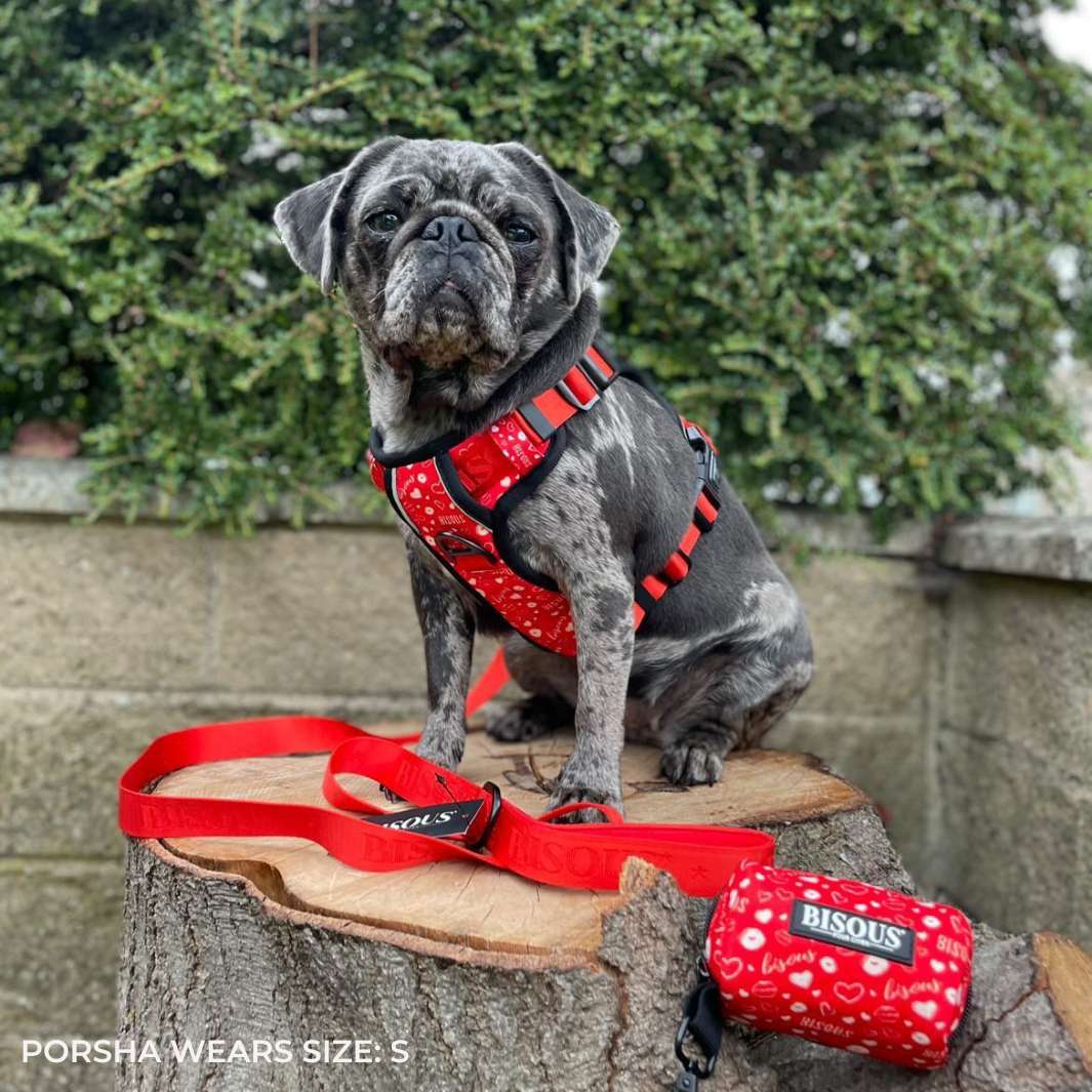 Smart-Fit Harness | Bisous - Bisous | Pour Chien