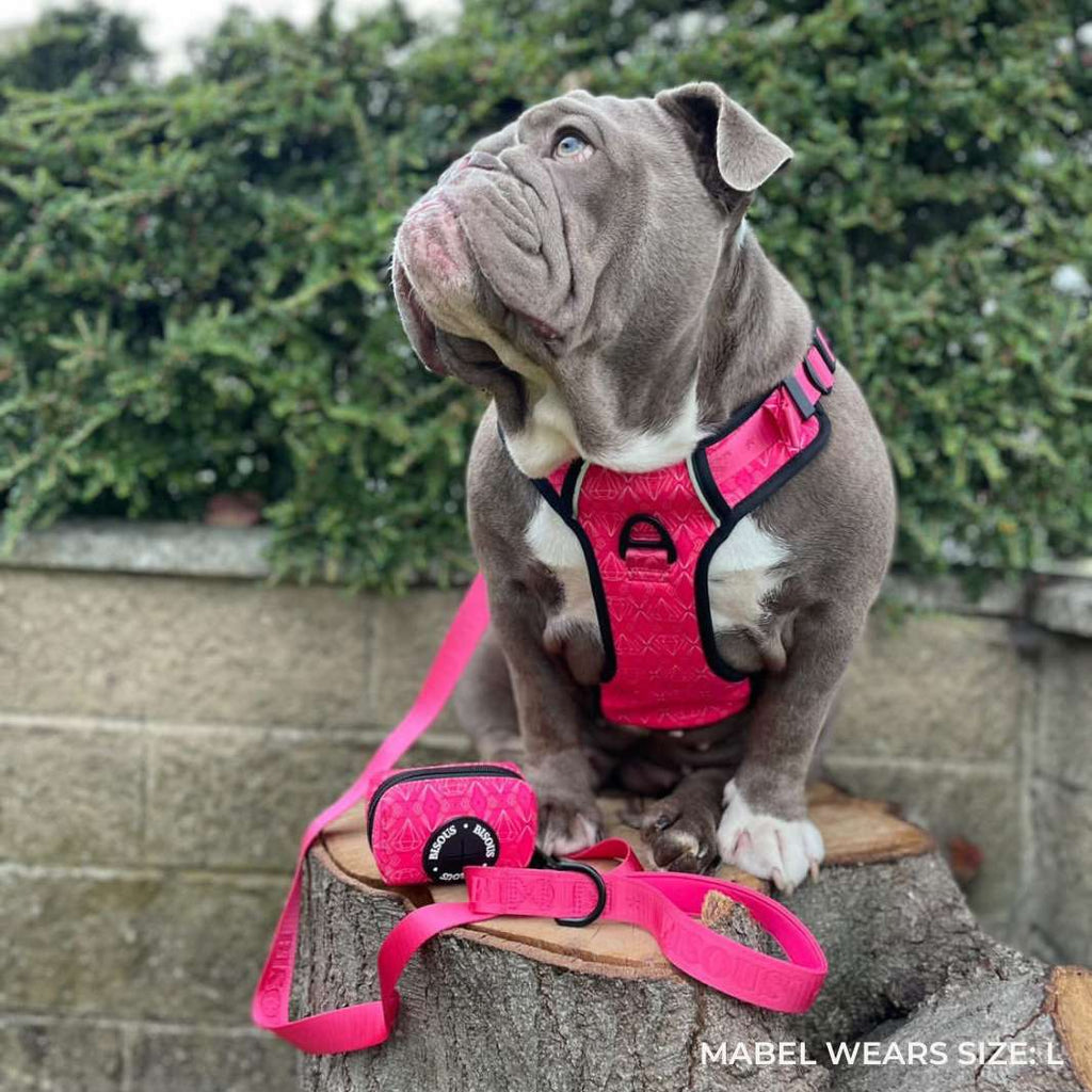Smart-Fit Harness | Madame - Bisous | Pour Chien