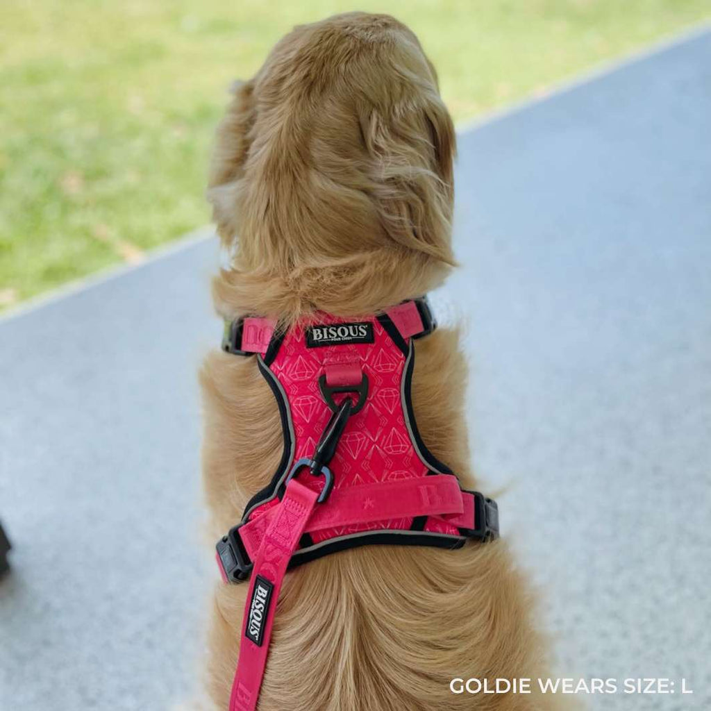 Smart-Fit Harness | Madame - Bisous | Pour Chien