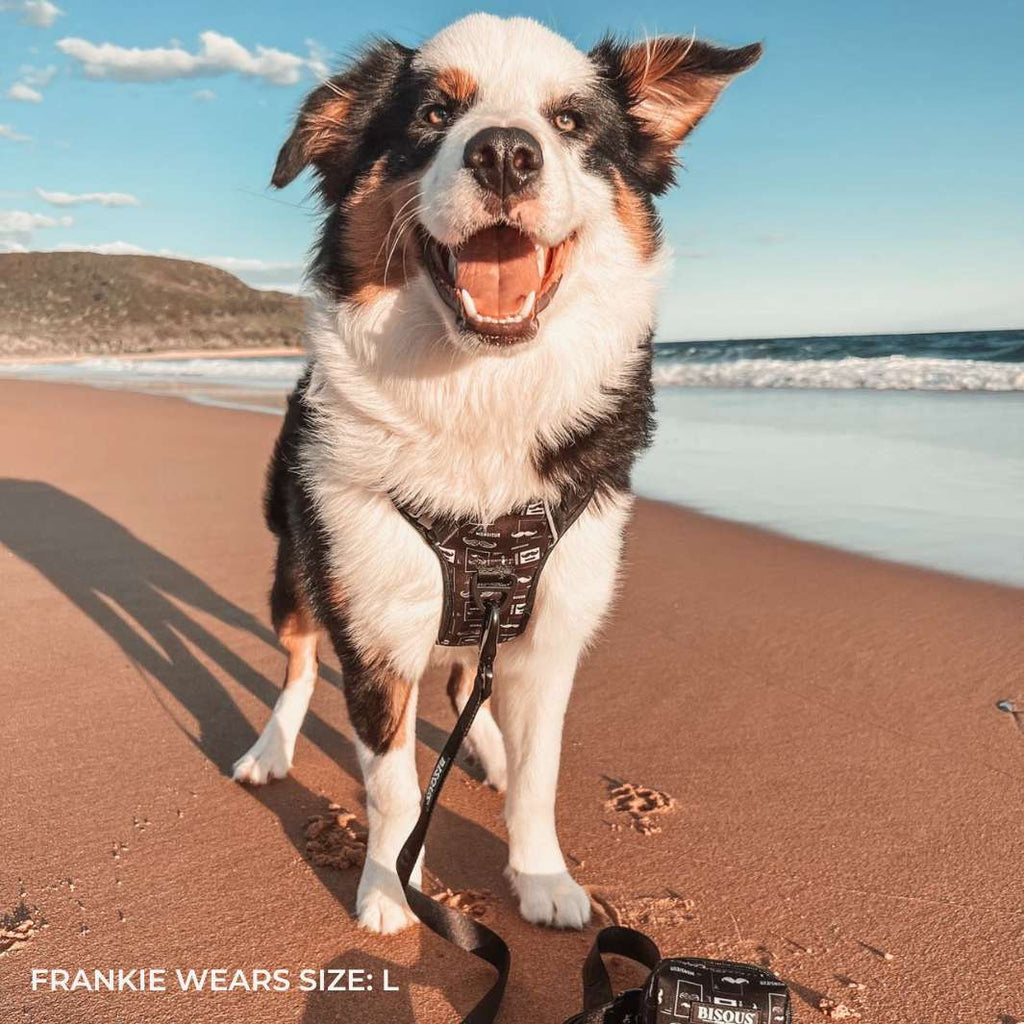 Smart-Fit Harness | Monsieur - Bisous | Pour Chien