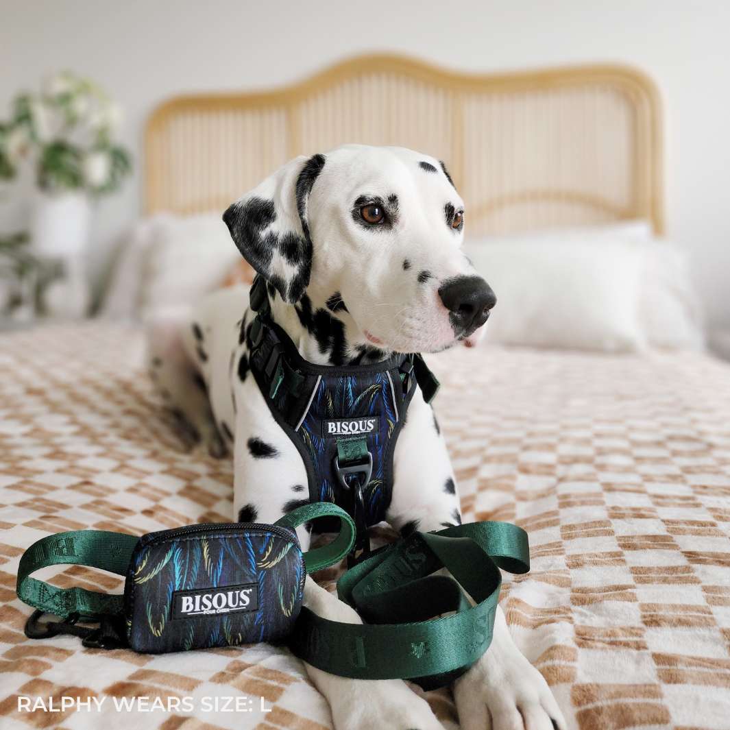 Smart-Fit Harness | Plume Green - Bisous | Pour Chien