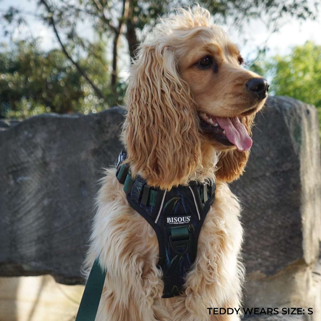Smart-Fit Harness | Plume Green - Bisous | Pour Chien
