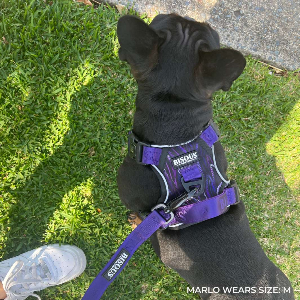 Smart-Fit Harness | Plume Purple - Bisous | Pour Chien