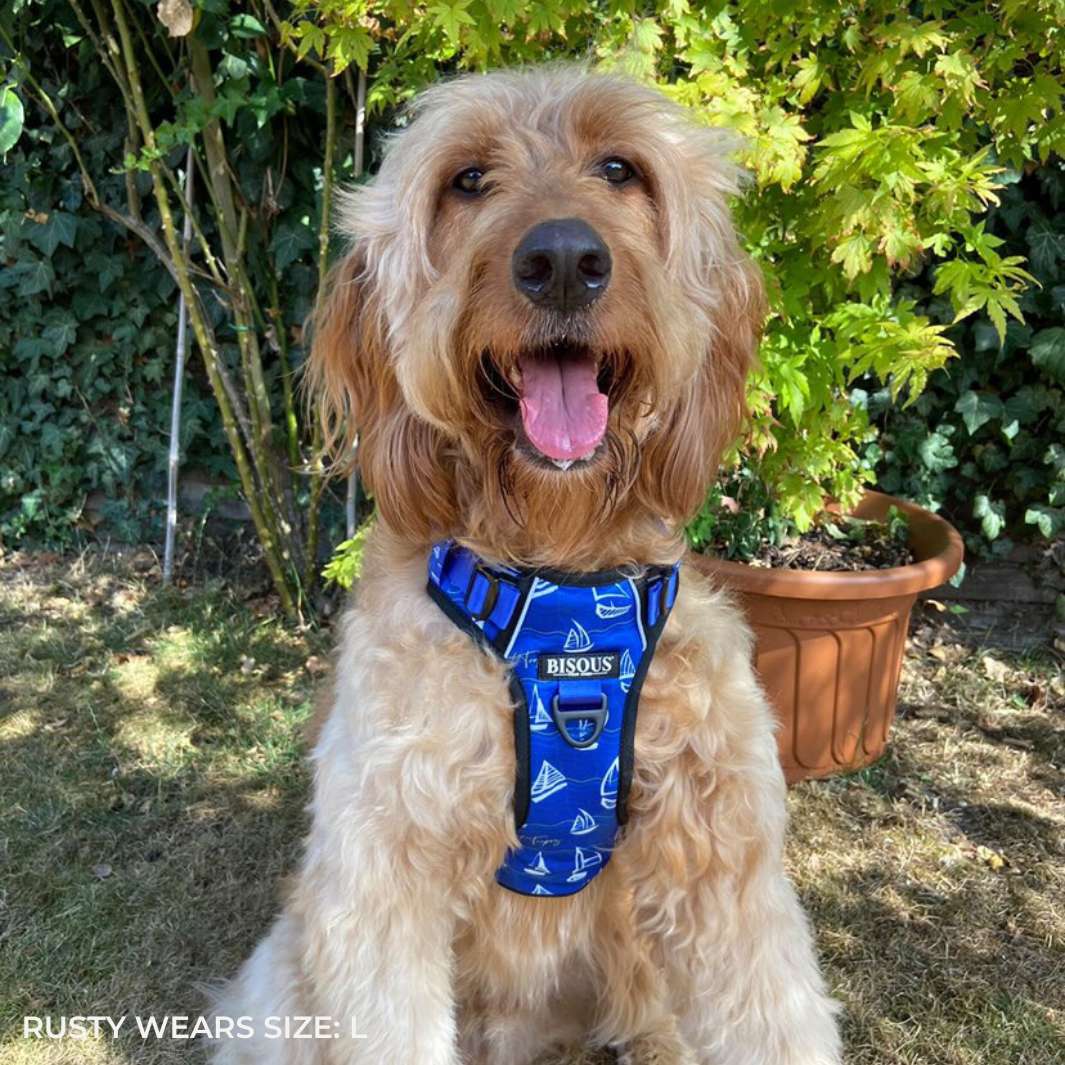 Smart-Fit Harness | Saint Tropez - Bisous | Pour Chien