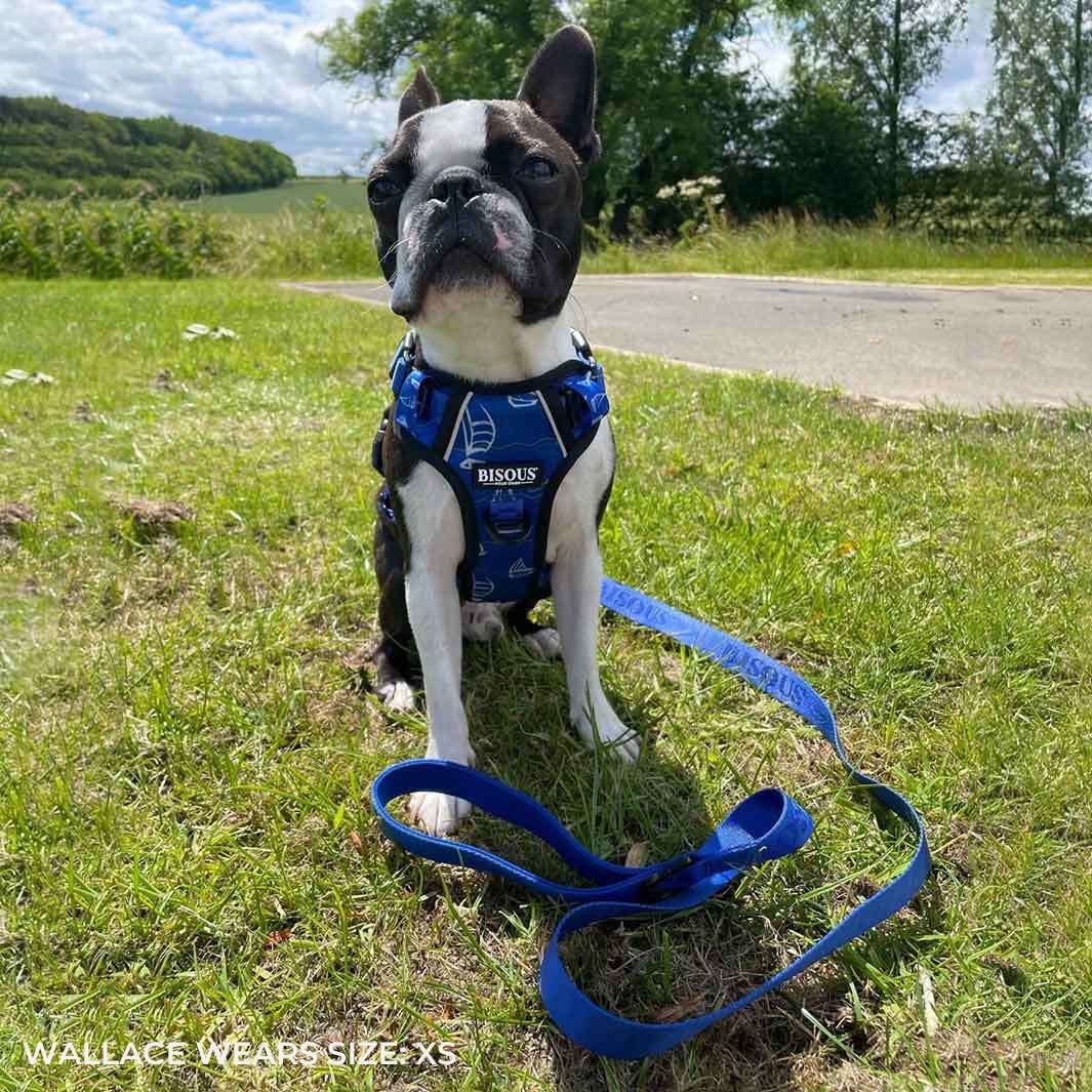 Smart-Fit Harness | Saint Tropez - Bisous | Pour Chien