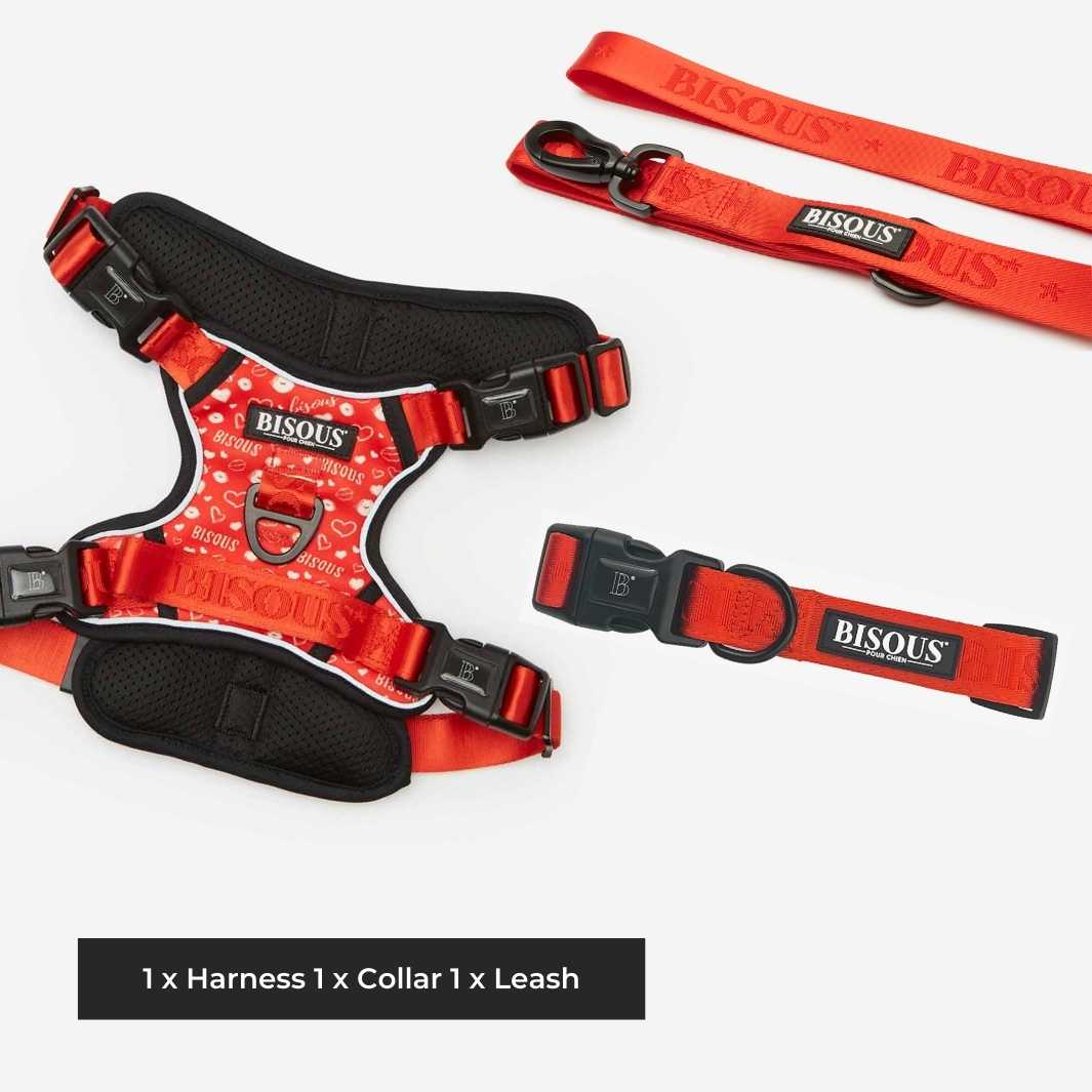 The Essentials Kit - Bisous | Pour Chien